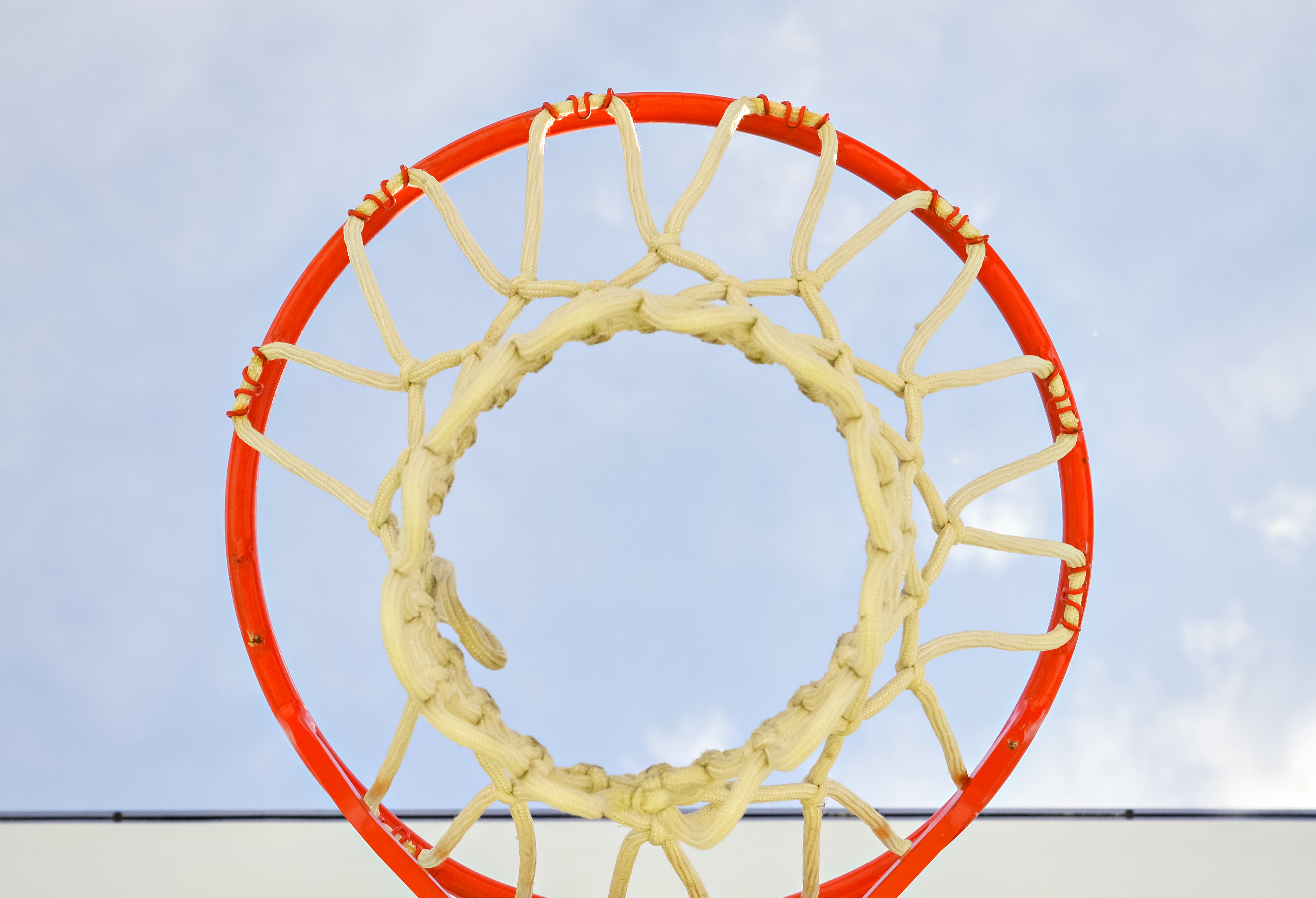 Basketball Net